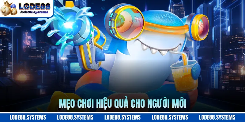 Bắn Cá Rồng Vàng - Cẩm Nang Săn Cá Dành Cho Tân Thủ 3 Mẹo chơi hiệu quả cho người mới