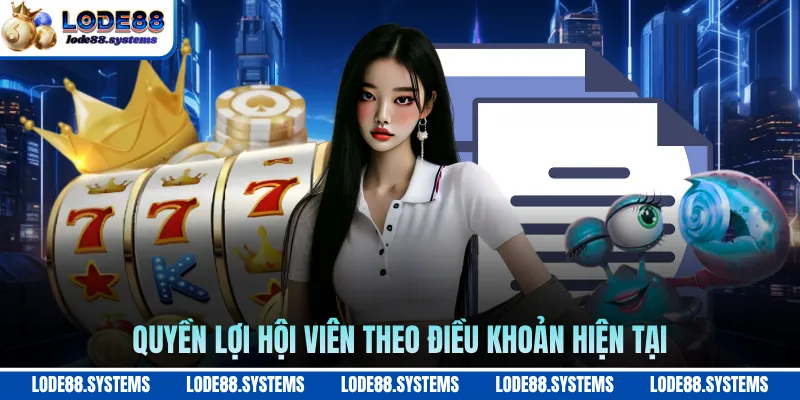 Miễn Trừ Trách Nhiệm 3 Quyền lợi hội viên theo điều khoản hiện tại