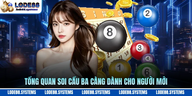 Soi Cầu Ba Càng - Bí Quyết Dự Đoán Chuẩn Xác Nhất 1 Tổng quan soi cầu ba càng dành cho người mới